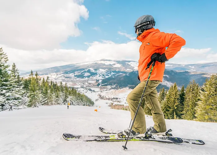 Chaty Ski Telgart