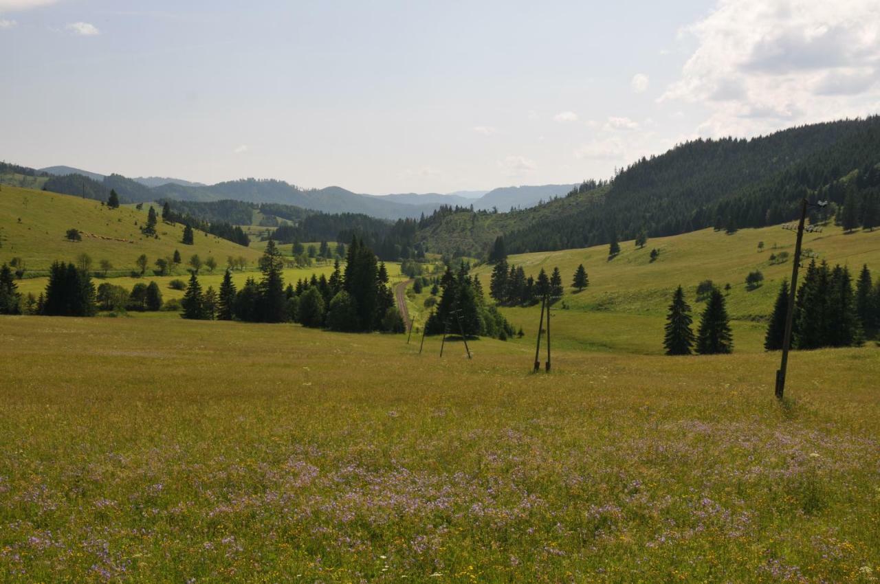 Chaty Ski Telgart *